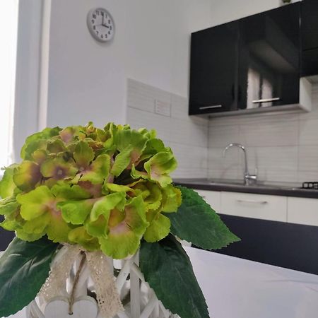 Apartamento La Dormidera Alguer Exterior foto