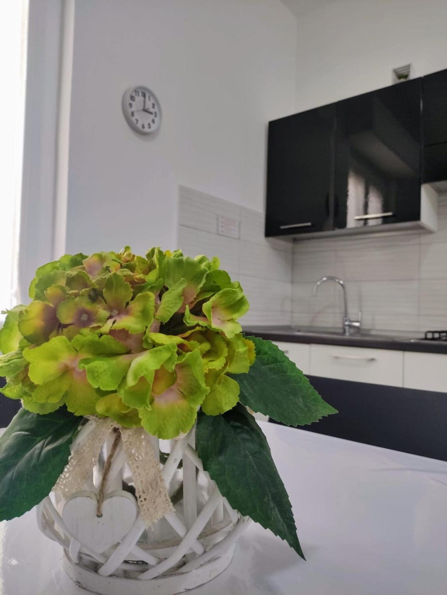 Apartamento La Dormidera Alguer Exterior foto